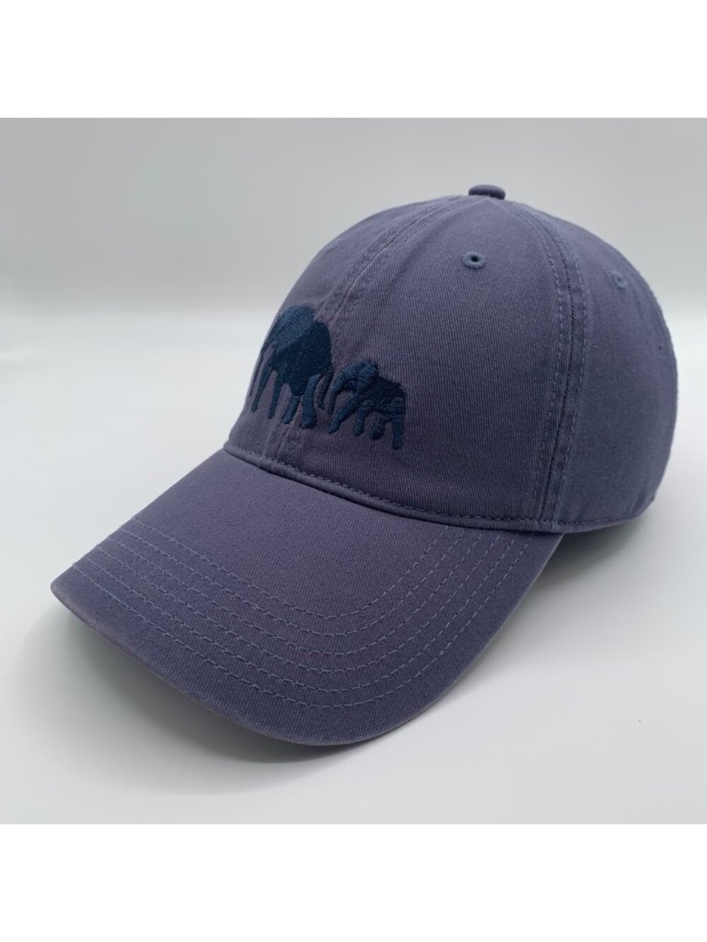 Dave Matthews Band Blue Legacy Relaxed Fit Strapback Hat